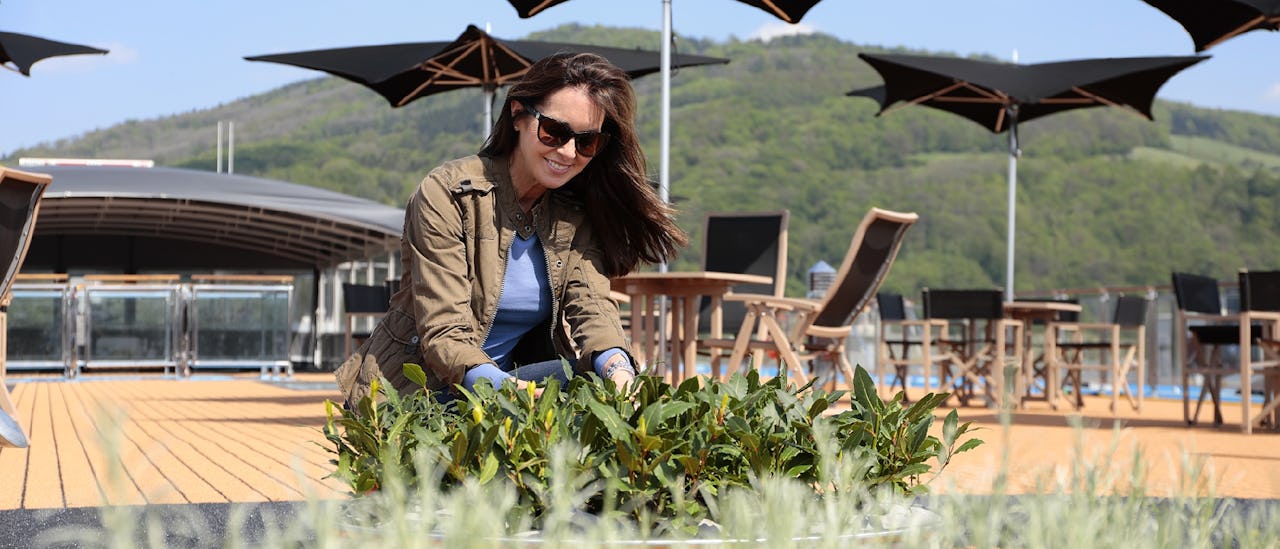 Sun Deck Herb Garden