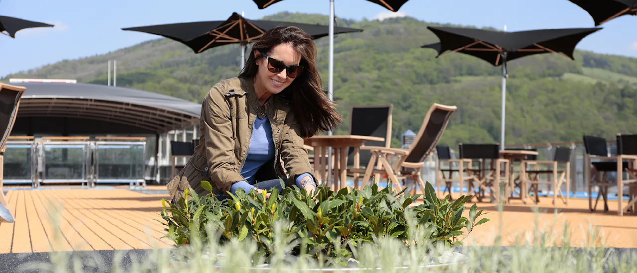 Sun Deck Herb Garden