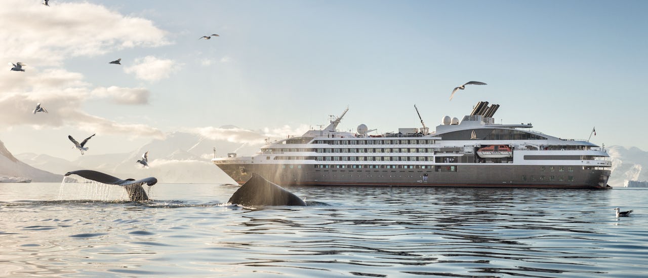 Le Boreal is equipped with a reinforced hull suitable for exhibition cruises to Antartica, Svalbard and other exotic destinations