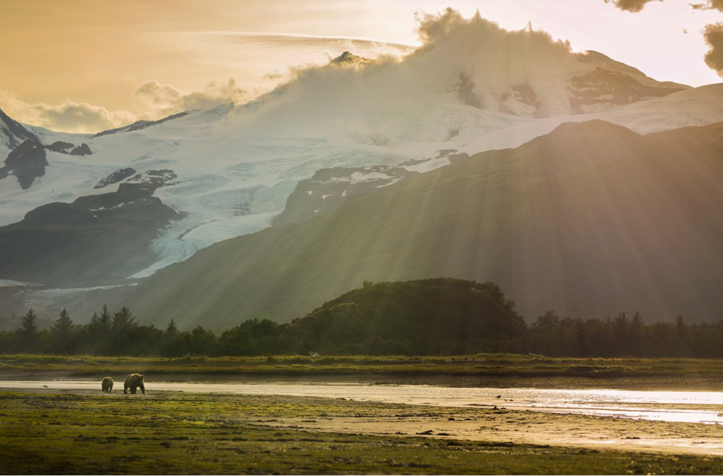 9 Night Denali Express Cruisetour