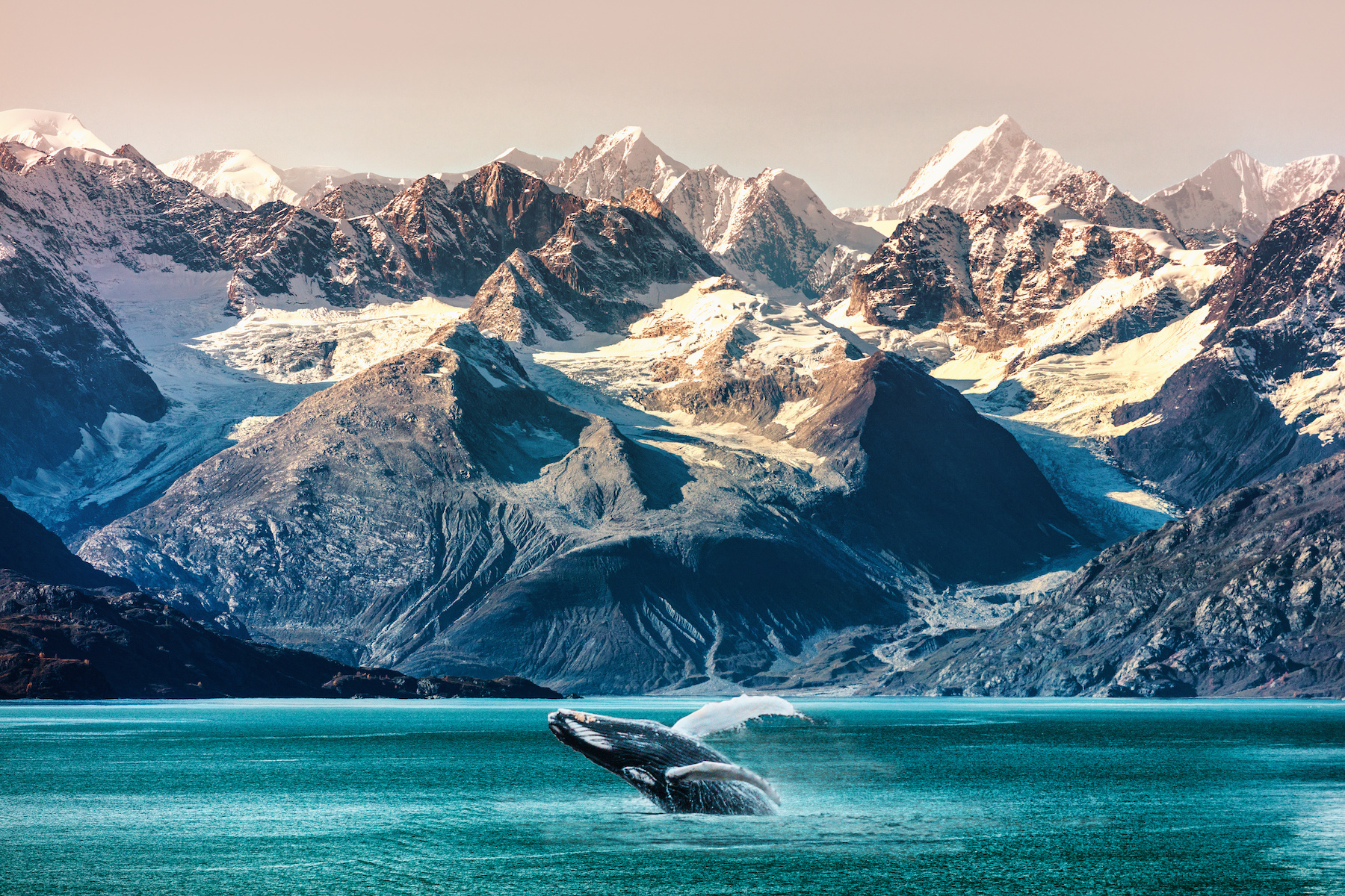 7-night Alaska Cruise