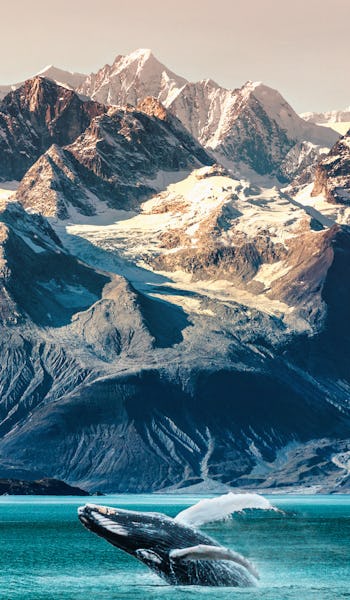 7-night Alaska Cruise