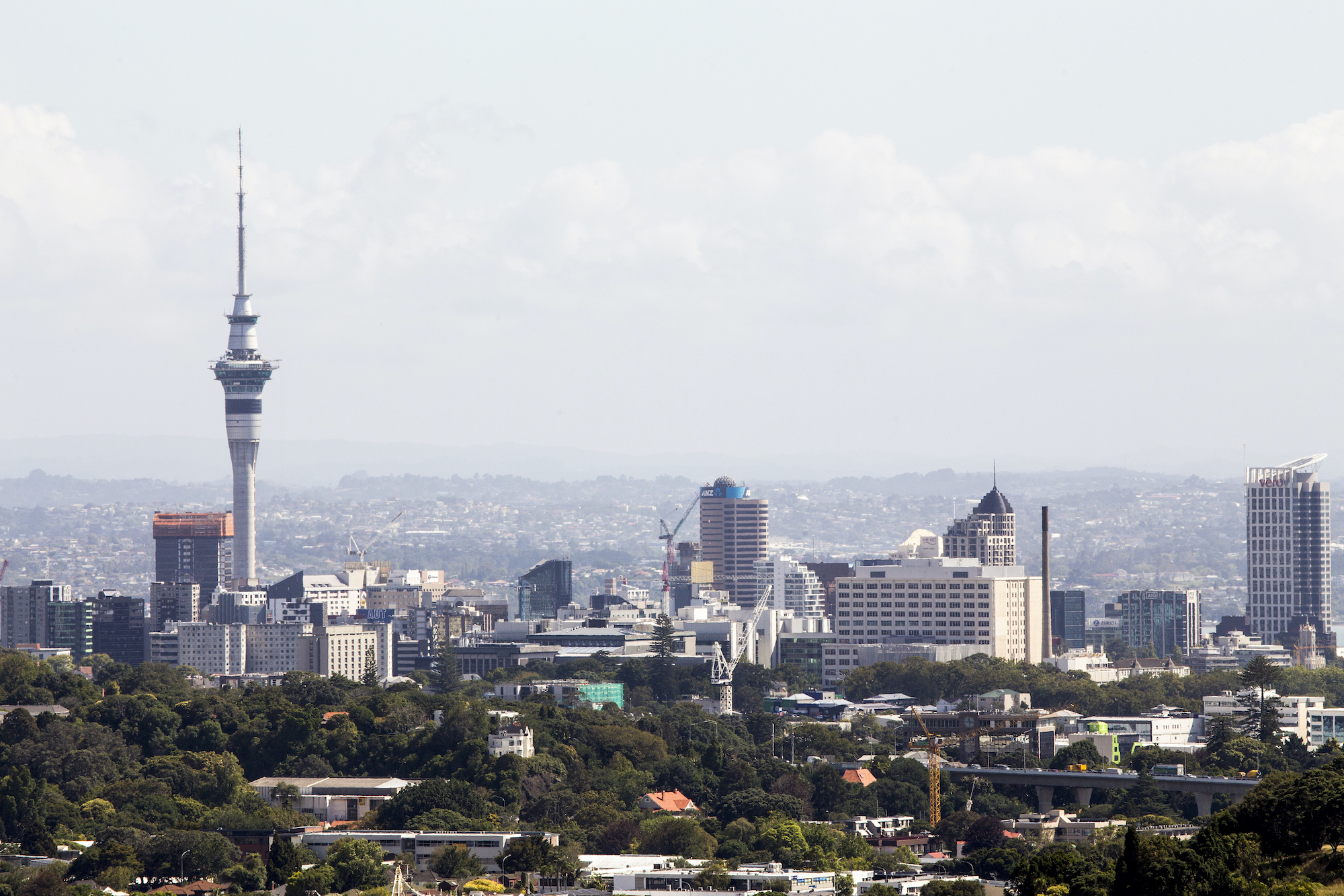 Cruises to Auckland