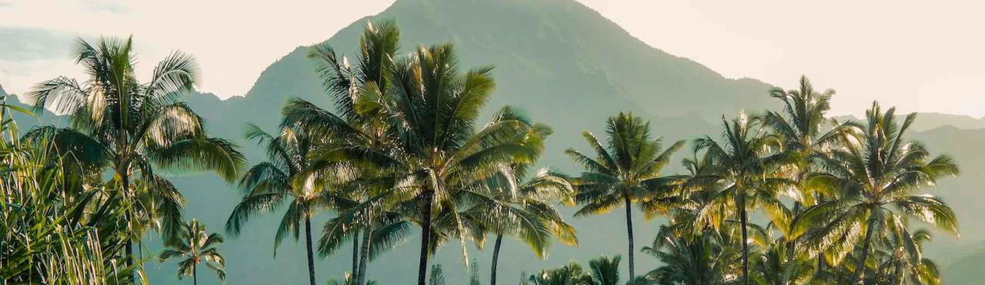 Cruises to Hawaii