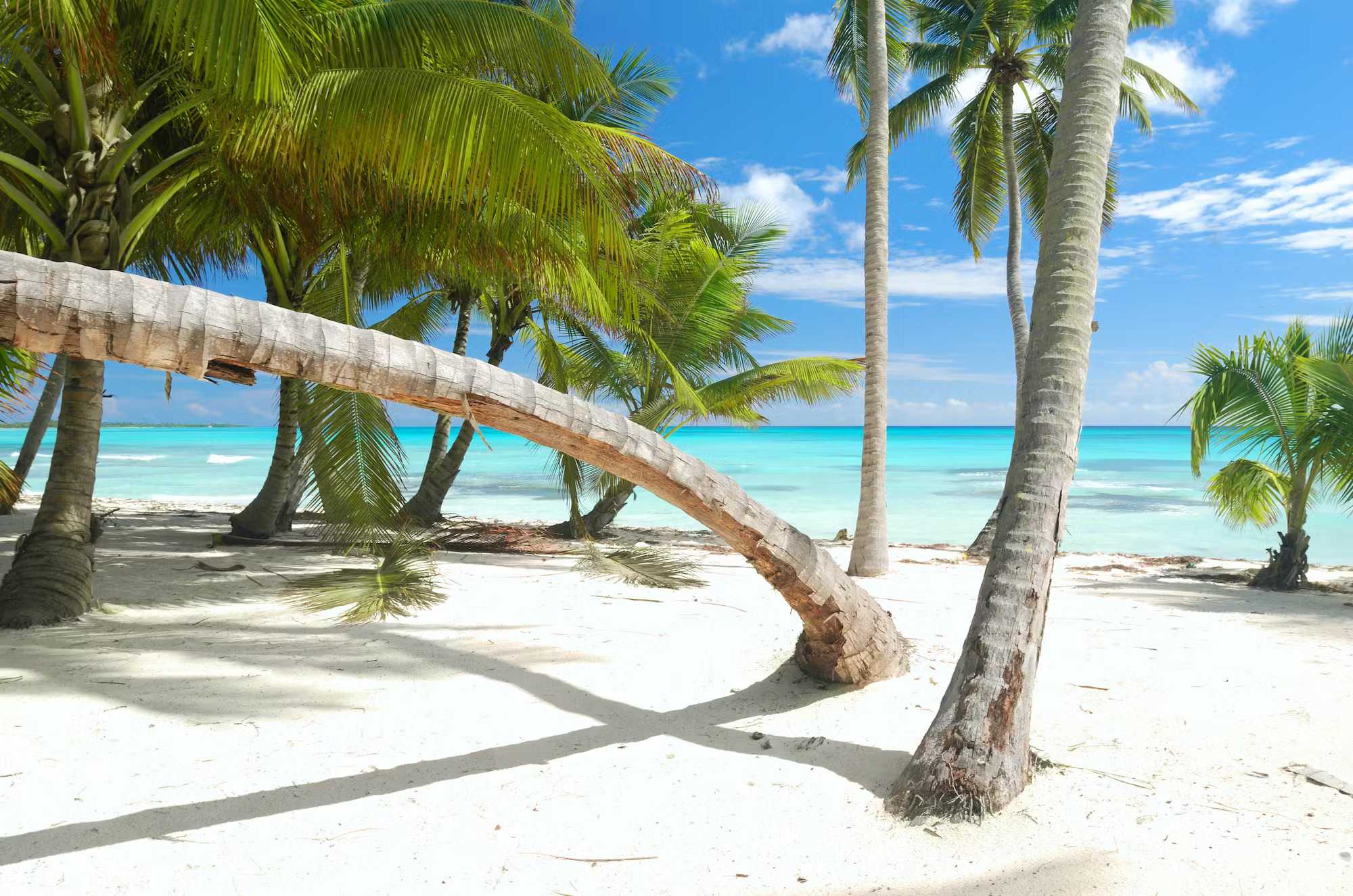 Cruises to the Caribbean and the Bahamas